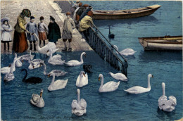 Geneve - Au Quai Des Bergues - Genève