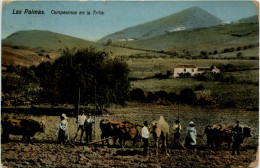 Las Palmas - Campesinos En La Trilla - Gran Canaria