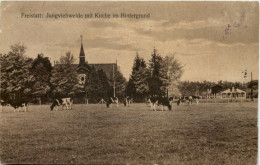 Freistatt - Jungviehweide Mit Kirche - Diepholz