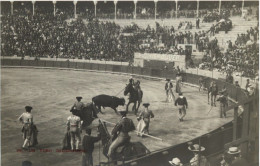 Stierkampf - Un Toro Recargando - Corrida