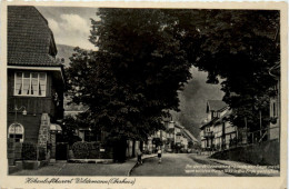 Kurort Wildemann Oberharz, - Clausthal-Zellerfeld