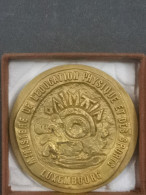 Luxembourg Médaille, Ministère De L'éducation Physique Et Sports, Champion 1982. Natation - Altri & Non Classificati
