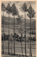 CARTOLINA CON TIMBRO FIUME 1943 - F.P. - Kroatien