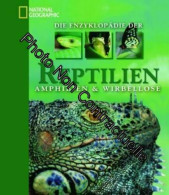 Die Enzyklopädie Der Reptilien Amphibien & Wirbellosen - Other & Unclassified