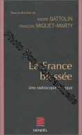La France Blessée : Une Radioscopie Politique - Other & Unclassified