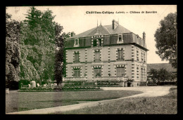 45 - CHATILLON-COLIGNY - CHATEAU DE BONNIERE - Chatillon Coligny