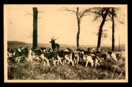 02 - VILLERS-COTTERETS - EN FORET - EQUIPAGE MENIER - HALLALI SUR LA ROUTE DE PARIS - CHASSE A COURRE - Villers Cotterets