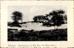 CPA Hoenderloo Gelderland, Zandverstuiving Nat. Park, De Hooge Veluwe - Andere & Zonder Classificatie