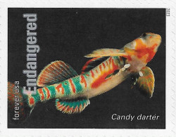 USA 2023 MiNr. 6056ba Endangered Species Fishes The Candy Darter (Etheostoma Osburni) 1v MNH ** 1.40 € - Autres & Non Classés