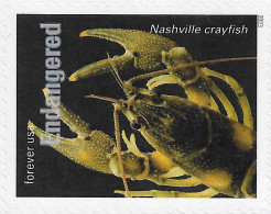 USA 2023 MiNr. 6068ba Endangered Species Crustaceans The Nashville Crayfish (Faxonius Shoupi) 1v MNH ** 1.40 € - Schaaldieren