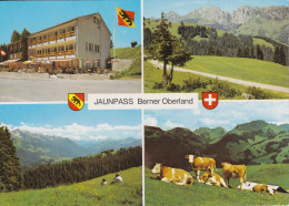 Jaunpass Berner Oberland - 4 Bilder  (Hôtel Des Alpes)        Ca. 1970 - Autres & Non Classés