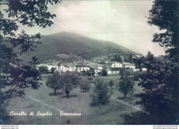 G300 Cartolina Provincia Di Como Carella Di Eupilio  Panorama - Como