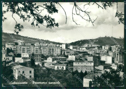 Caltanissetta Città Foto FG Cartolina ZK1047 - Caltanissetta