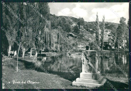 Perugia Campello Fonti Del Clitunno Carducci FG Foto Cartolina KB4980 - Perugia