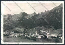 Trento Andalo Foto FG Cartolina ZF2245 - Trento