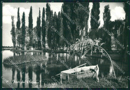 Perugia Campello Fonti Del Clitunno Barca Carducci FG Foto Cartolina KB4985 - Perugia