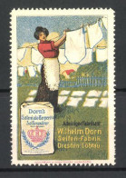 Reklamemarke Salmiak-Terpentin Seifenpulver, Seifen-Fabrik Wilhelm Dorn, Hausfrau An Der Wäschenleine  - Cinderellas