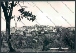 Terni Montecastrilli Foto FG Cartolina ZF7352 - Terni