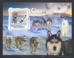 Guinea Bissau (Guineé-Bissau) - 2009 - Global Warming, Canis Rufus - Yv Bf 465 - Hunde