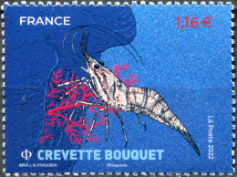 FRANCE - 2022 - STAMP MNH ** - Common Prawn (Palaemon Serratus) - Neufs