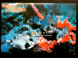 Guinea (Guinée) - 2001 - Fish - Yv Bf 210C - Fishes