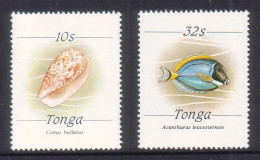 Tonga 1987 Set Of 2 Fish Shell SG 976a & 976b Cat US$33 - No Date At Bottom - Scarce - Read Description - Tonga (1970-...)