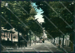 Arezzo Cavriglia PIEGHINA Foto FG Cartolina ZKM8286 - Arezzo