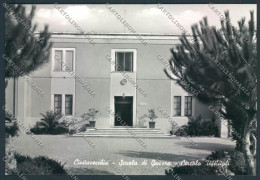 Roma Civitavecchia Scuola Di Guerra Foto FG Cartolina ZF6349 - Altri & Non Classificati