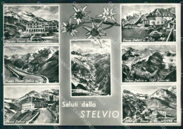 Bolzano Stelvio Saluti Da Foto FG Cartolina ZK3152 - Bolzano