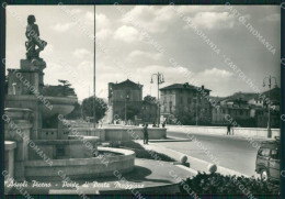 Ascoli Piceno Città Fontana Foto FG Cartolina ZKM7486 - Ascoli Piceno