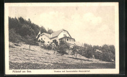 AK Millstatt Am See, Hotel Pension Und Jausenstation Alexanderhof  - Sonstige & Ohne Zuordnung