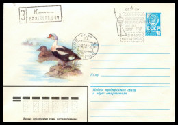 RUSSIA & USSR International Philatelic Exhibition “USSR-GDR” Volgograd-81 Illustrated Envelope With Special Cancellation - Briefmarkenausstellungen