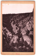 Fotografie Unbekannter Fotograf, Ansicht Wernigerode, Blick Auf Die Schurre  - Lugares