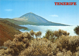 Espagne MAR DE NUBES TENERIFE - Tenerife