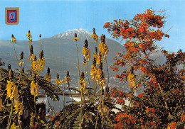 Espagne TENERIFE - Tenerife