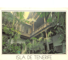 Espagne ISLAS CANARIAS TENERIFE - Tenerife