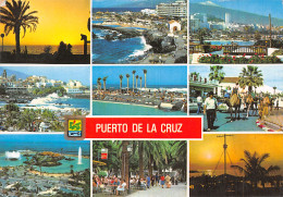 Espagne TENERIFE PUERTO DE LA CRUZ - Tenerife