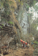 INDONESIE TANA TORAJA - Indonesië