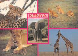 KENYA - Kenia