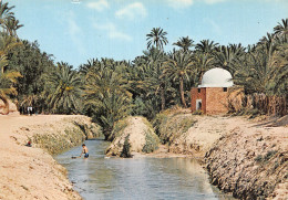 TUNISIE TOZEUR - Túnez