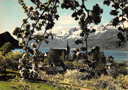 NORWAY HARDANGER - Norway