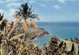 GUADELOUPE REGION DE BANANIER - Sonstige & Ohne Zuordnung