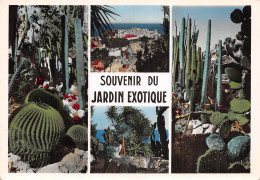 98 MONACO LE JARDIN EXOTIQUE - Exotische Tuin