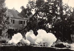 71 TAIZE MAISON DES FRERES - Sonstige & Ohne Zuordnung