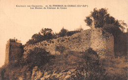 17 SAINT THOMAS DE CONAC LES RUINES DU CHÂTEAU - Autres & Non Classés