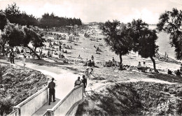 17 L ILE D OLERON LE CHÂTEAU - Ile D'Oléron