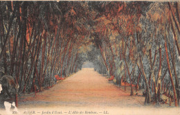 ALGERIE ALGER JARDIN D ESSAI - Algiers