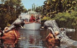 USA FL JUNGLE CRUISE - Other & Unclassified