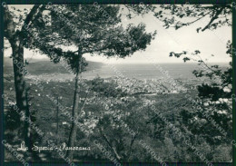 La Spezia Città FG Foto Cartolina KB5063 - La Spezia