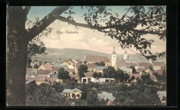 AK Mor. Olesnice, Panorama  - Tschechische Republik